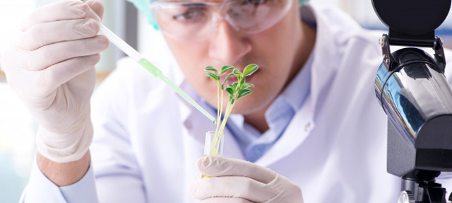 Top BSc (Biotechnology, Botany, Chemistry) Colleges in Bangalore