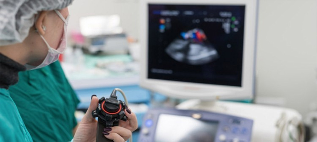 Best MSc Echocardiography Colleges in Bangalore